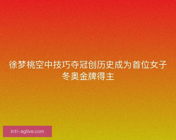 徐梦桃空中技巧夺冠创历史成为首位女子冬奥金牌得主 徐梦桃空中技巧夺冠创历史成为首位女子冬奥金牌得主