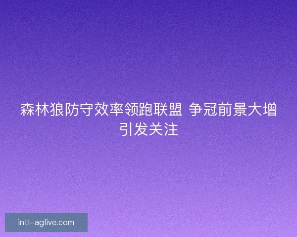 森林狼防守效率领跑联盟 争冠前景大增引发关注