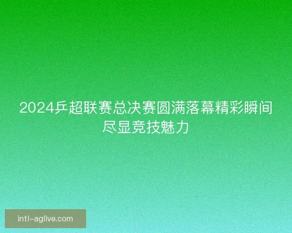 2024乒超联赛总决赛圆满落幕精彩瞬间尽显竞技魅力