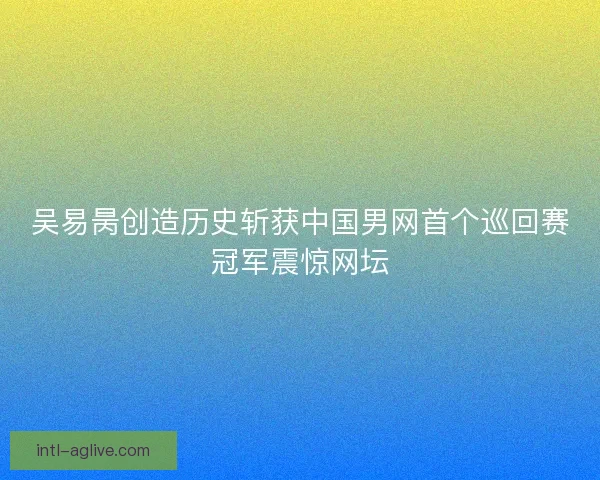 吴易昺创造历史斩获中国男网首个巡回赛冠军震惊网坛